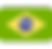 brazil.png.png